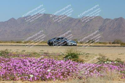 media/Jan-29-2023-PCA San Diego (Sun) [[aa0301ccc2]]/Yellow Group/Session 1 (Turn 15 Bloom)/